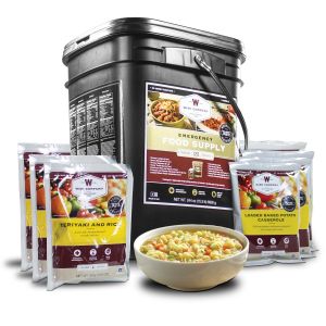 120 Serving Entrée Only Grab and Go Bucket 